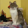 Отзыв от Альфия Русакова